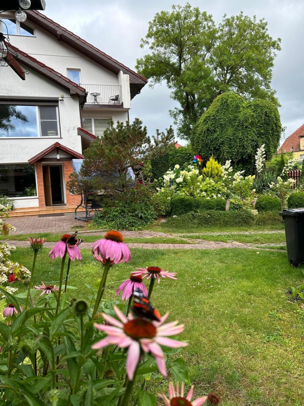 Villa Mielno-Eko Mielno  Dış mekan fotoğraf