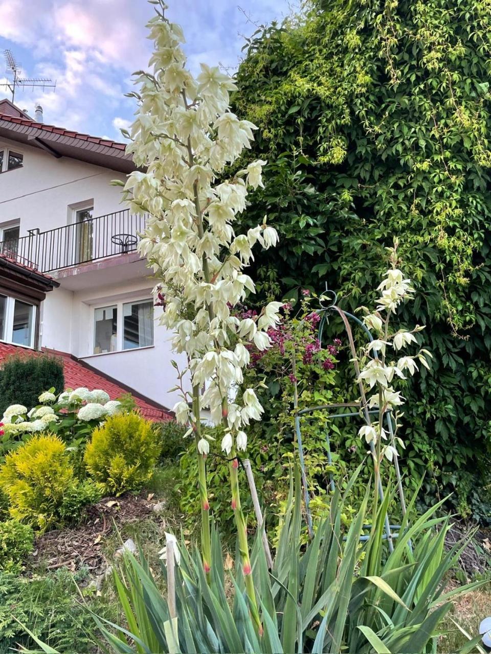 Villa Mielno-Eko Mielno  Dış mekan fotoğraf