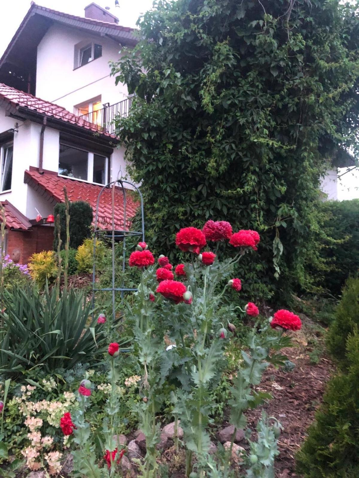 Villa Mielno-Eko Mielno  Dış mekan fotoğraf